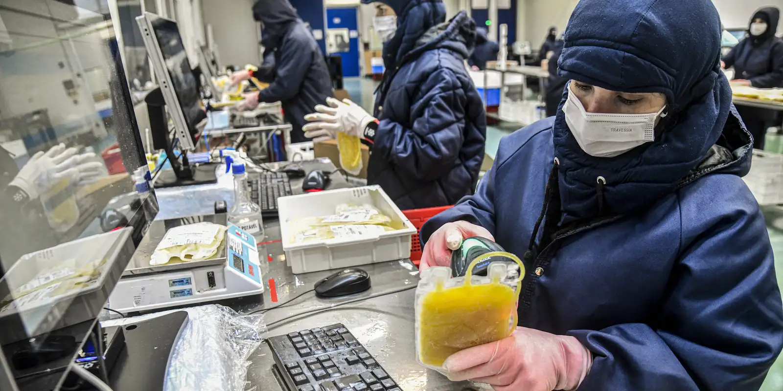 Projeto dispensa licitação para medicamentos produzidos pela Hemobrás